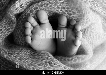 Weiche Füße eines Neugeborenen in einem Scheusal. Nahaufnahme der Zehen, Fersen und Füße des Babys. Schwarzweiß-Makrofotografie im Studio Stockfoto