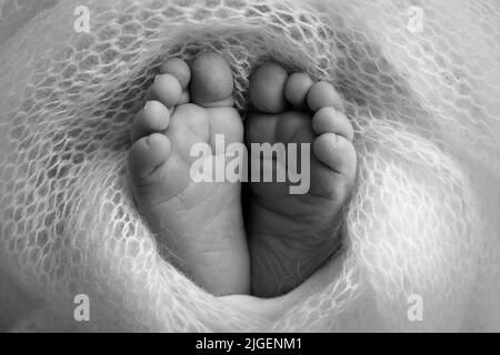 Weiche Füße eines Neugeborenen in einem Scheusal. Nahaufnahme der Zehen, Fersen und Füße des Babys. Schwarzweiß-Makrofotografie im Studio Stockfoto