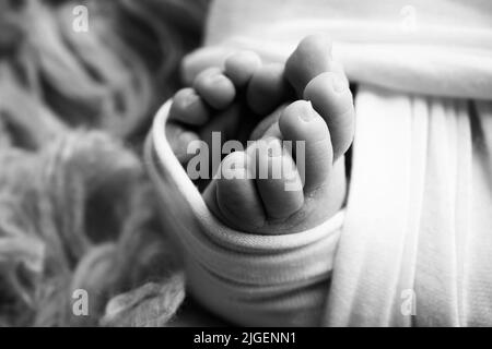 Weiche Füße eines Neugeborenen in einem Scheusal. Nahaufnahme der Zehen, Fersen und Füße des Babys. Schwarzweiß-Makrofotografie im Studio Stockfoto