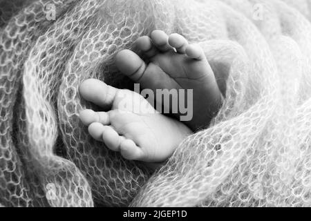 Weiche Füße eines Neugeborenen in einem Scheusal. Nahaufnahme der Zehen, Fersen und Füße des Babys. Schwarzweiß-Makrofotografie im Studio Stockfoto