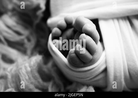 Weiche Füße eines Neugeborenen in einem Scheusal. Nahaufnahme der Zehen, Fersen und Füße des Babys. Schwarzweiß-Makrofotografie im Studio Stockfoto