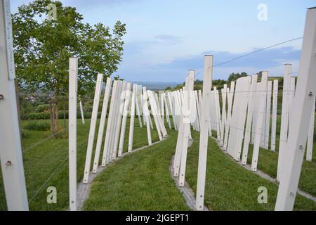 Kaiserstuhl bei Freiburg in Deutschland, einem Weinanbaugebiet Stockfoto