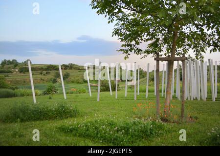 Kaiserstuhl bei Freiburg in Deutschland, einem Weinanbaugebiet Stockfoto