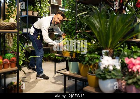 Ein Spezialist in der Pflege von Topfpflanzen und Blumen arbeitet in einem Geschäft, das Grünpflanzen verkauft Stockfoto