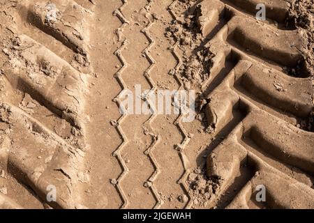 Schwere Traktorreifen in weichem Sand mit tiefen Rippen Stockfoto