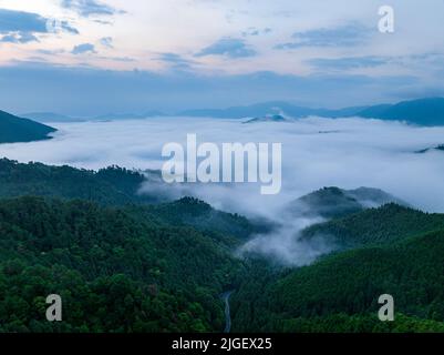 Bei Morgendämmerung strömt dichter Nebel ins Tal Stockfoto