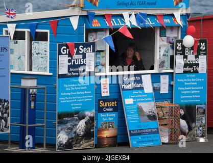 Buchungsbüro für Vergnügungsbootfahrten zu den Farne-Inseln. Northumberland. Nordosten Großbritanniens. Stockfoto