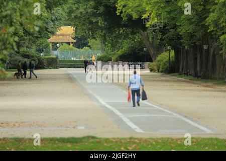 Brunnenallee mit Blick auf den Thai-Tempel Sala-Thai Iim Kurpark in Bad Homburg, Hessen, Deutschland Stockfoto
