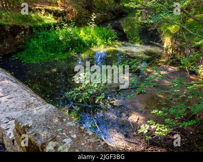 Bild des Klimawandels eines Stausees mit einem trockenen Baumzweig. Konzept der Dürre Stockfoto