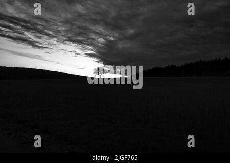 Eine Graustufenaufnahme des Sonnenuntergangs im Saarland mit einem Baum vor dramatischem Himmel. Ruhige und einsame Lichtstimmung Stockfoto