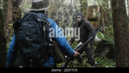 CAESAR, Morgenröte der Planet der Affen, 2014 Stockfoto