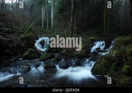 Afon Rhwiddolion (Mitte) und ein Nebenfluss. Stockfoto