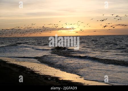 Heacham Beach bei Sonnenuntergang Stockfoto