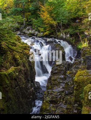 Dunkeld, Schottland - Oktober 11. 2021:der wunderschöne Black Linn Wasserfall im Hermitage Wald in Dunkeld, Schottland. Stockfoto