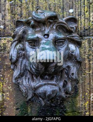 Ein Löwenkopf-Detail auf dem Atholl Memorial Fountain, oder auch bekannt als Dunkeld Market Cross, in der wunderschönen Stadt Dunkeld in Perth und Kinross, Stockfoto