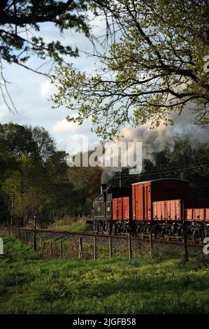 '30053' und ein kurzer Güterzug. Hier in der Nähe der Wittersham Road. Stockfoto