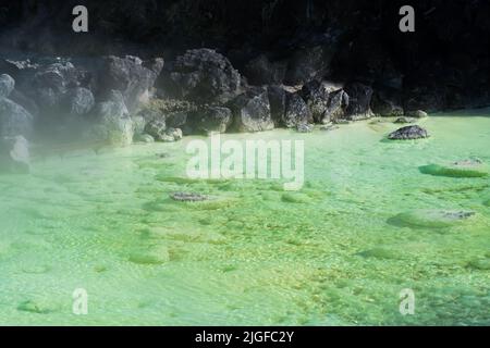 Heißes Mineralwasser bei Yubatake Onsen in Kusatsu, Gunma, Japan. Stockfoto