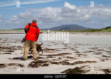 Ein Mann mittleren Alters in einer leuchtend roten Jacke, der mit einem Hund an einem weißen Sandstrand in South Uist spielt Stockfoto