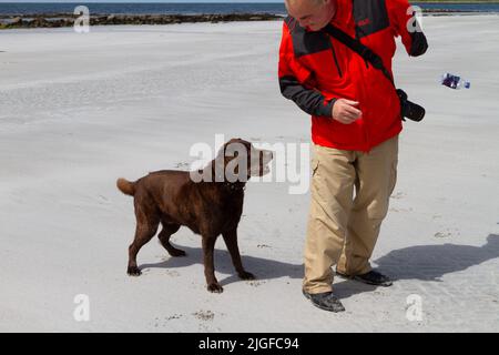 Mann mittleren Alters in einem roten Mantel und einem Schokoladen-Labrador, der mit einer Plastikflasche spielt, die an einem Strand in South Uist, Western Isles, Schottland, gefunden wurde Stockfoto