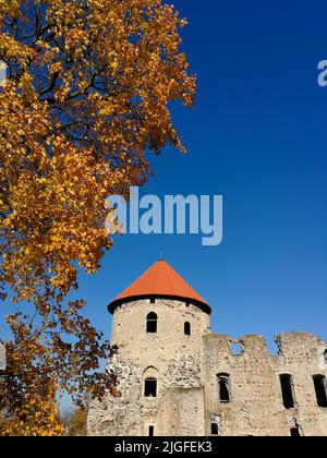 Historisches Gebäude aus Ziegelsteinen an einem sonnigen Tag. Mittelalterliche Burgruinen mit einem roten Ziegeldach, das hinter dem Baum steht. Stockfoto