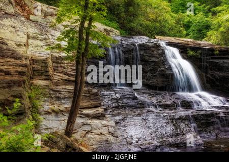 Hooker Falls ist einer von vier großen Wasserfällen am Little River im Dupont Forest von North Carolina. Stockfoto