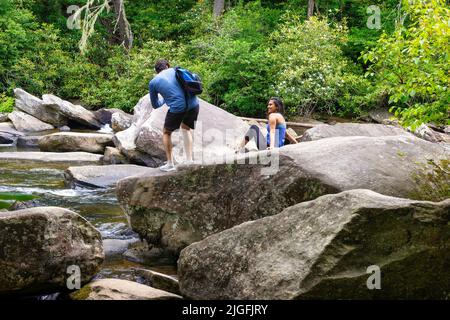 Brevard, North Carolina, USA - 25. Juni 2022: Große Felsbrocken am Little River im Dupont Forest, North Carolina. Stockfoto