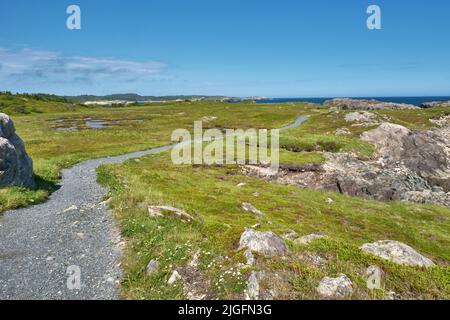 Der Louisbourg Lighthouse Coastal Trail ist ein 1,5 Kilometer langer Rundweg, der der Atlantikküste in Cape Breton Nova Scotia folgt. Stockfoto