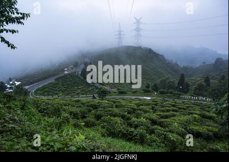 Das Mirik-Tal ist das ganze Jahr über mit Teesträuchern bedeckt. Weibliche Teezucker pflücken Teeblätter während des Monsuns wolkige Morgen in der kleinen Stadt von North Bengal Darjeeling Bezirk -Mirik. Die Strommasten in diesen Gärten sind das einzige Medium für den Stromanschluss auf dem ganzen Hügel. Nach Angaben der Darjeeling Tea Association betrug die Teeproduktion von Darjeeling im Vorjahr rund 7 Millionen kg und die Exporte lagen im Bereich von 3 bis 3,5 Millionen kg. Westbengalen, Indien. Stockfoto