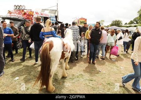 Eine junge blonde Frau führt ein farbiges Pony durch das Messegelände. Appleby Horse Fair, Appleby in Westmorland, Cumbria Stockfoto