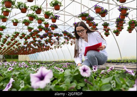 Gärtnerin Frau arbeitet an Blumen im Gewächshaus und macht Notizen. Gewächshausprodukte. Geschäftskonzept mit kleinen Blumenmustern. Stockfoto