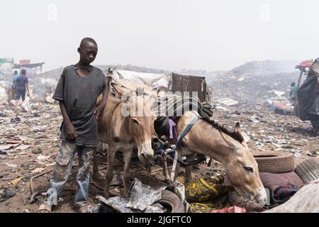 Junger afrikanischer Eselkarren-Fahrer, der Hausmüll auf eine städtische Deponie bringt Stockfoto
