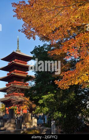 Fünfstöckige Pagode und Friedhof Autumn Ikegami Honmonji Temple Tokyo Japan Stockfoto