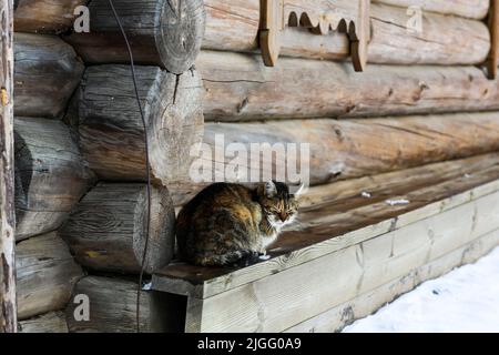 Eine alte Holzhütte. Verlassene russische Dorf mit Schnee bedeckt. Blockhaus mit einer Scheune mit einem hölzernen Weidenzaun. Stockfoto