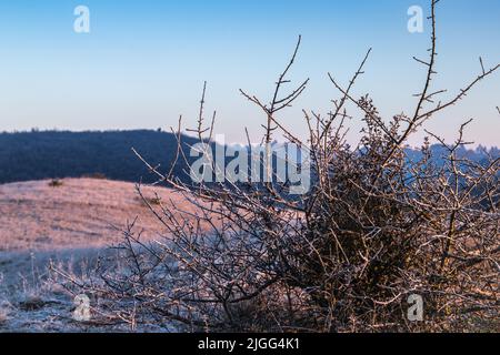 Vue de la montagne pelée au lever du Soleil en hiver Stockfoto