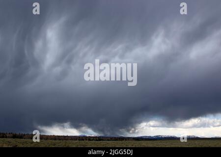 Eine sich schnell bewegende Wetterfront aus dem späten Mai bewegt sich über eine Sagebrush-Wohnung im Grand Teton NP, USA von Wyoming. Stockfoto