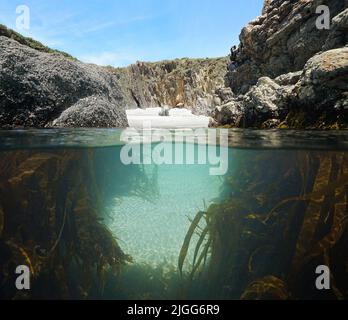 Schmale Passage zwischen Felsen zu einem abgelegenen Strand mit Seetang unter Wasser, Split-Level-Blick über und unter der Wasseroberfläche, Atlantik, Spanien, Galizien Stockfoto