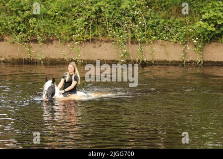 Eine junge Frau auf ihrem Pferd im Fluss Eden, Appleby Horse Fair, Appleby in Westmorland, Cumbria Stockfoto