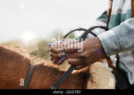 Die verträumte Nahaufnahme einer jungen Frau, die im Sonnenlicht auf einem Pferd reitet, konzentriert sich auf weibliche Hände, die Zügel halten und den Raum kopieren Stockfoto