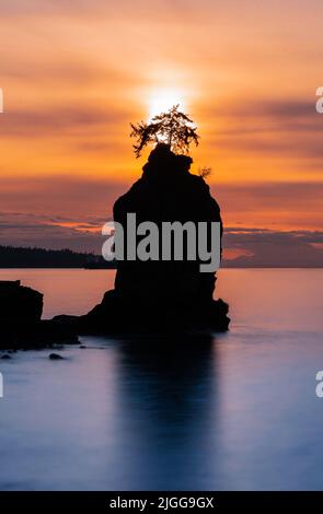 Siwash Rock an der Ufermauer von Vancouver, im Stanley Park Stockfoto