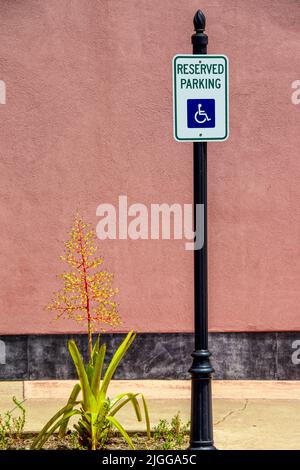 Reserviert - Behindertenparkschild vor rosa Stuckwand mit Blumen, die neben dem Stock wachsen Stockfoto