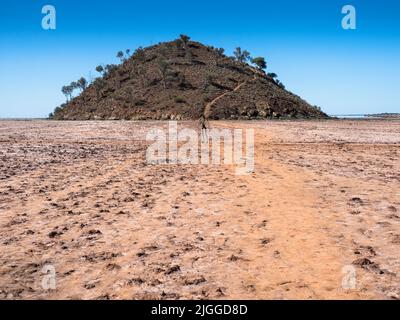 Einer der Lake Ballard. „Salt People“ von Sir Antony Gormley (mit dem Titel „Inside Australia“) vor einem kleinen Hügel am trockenen Salzsee. Stockfoto