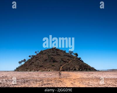 Einer der Lake Ballard. „Salt People“ von Sir Antony Gormley (mit dem Titel „Inside Australia“) vor einem kleinen Hügel am trockenen Salzsee. Stockfoto