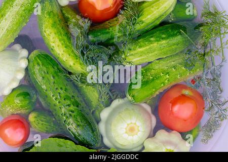 Gurken, Kürbis und Tomaten werden zum Beizen gewaschen. Stockfoto