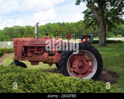 Ein alter roter McCormick Farmall-Traktor, der auf den Greenbrier Farms in Chensapeake, Virginia, ausgestellt wird. Stockfoto
