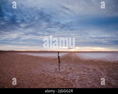 Einer der Lake Ballard. „Salt People“ - 51 Skulpturen aus Metalllegierungen von Sir Antony Gormley (mit dem Titel „Inside Australia“), die um einen trockenen Salzsee verstreut sind Stockfoto