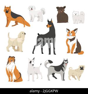Hunde verschiedenen Rassen, Corgi und Dobermann Vektor Stock Vektor