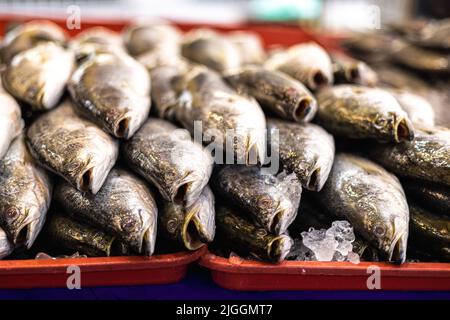 Frisch gefangener Fisch auf der Theke eines Fischmongers in Kuala Lumpur, Malaysia. Der Fang des Tages vom Morgen wird frisch am Abend verkauft. Stre Stockfoto