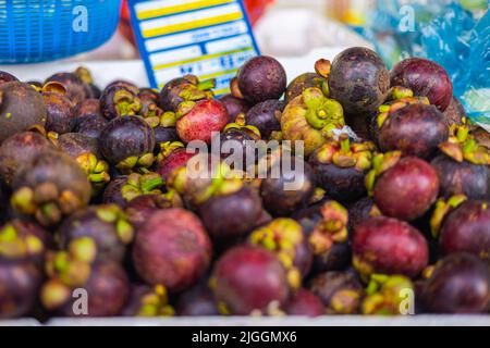 Ein großer Haufen Mangostan auf einem frischen Markt in Kuala Lumpur, Malaysia. Auch bekannt als der purpurne Mangostan. Sie wächst in Südostasien, südwestlich von Indi Stockfoto