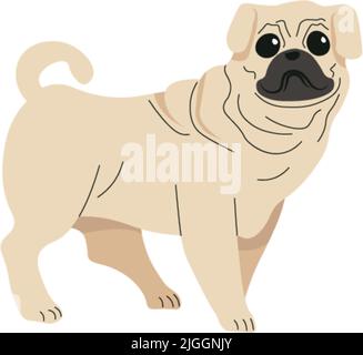 Pug Welpe oder gewachsenen Hund, Rasse Hund Tier Vektor Stock Vektor