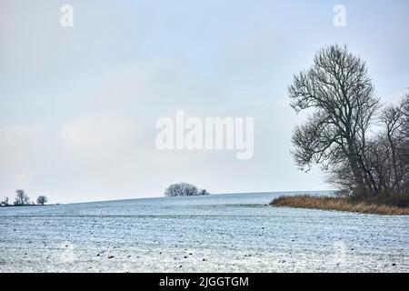 Winterzeit auf dem Land - Dänemark. Dänische Ackerland im Winter. Stockfoto